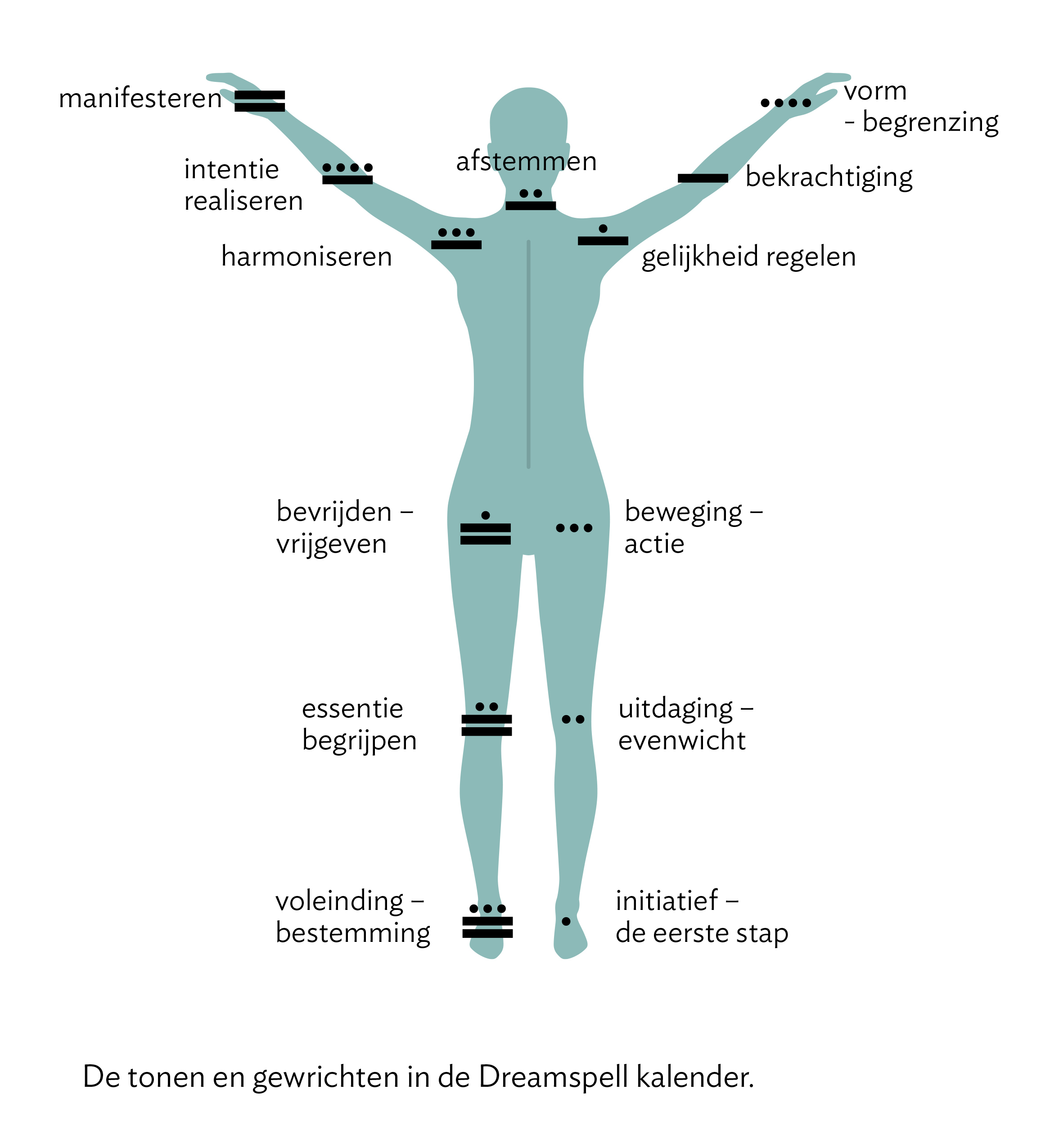 Maya Levenspad 24 1 tonen en gewrichten