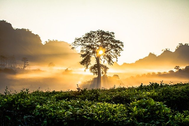 Zonsopkomst