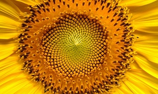 26 juli 2017: Start van een nieuw Maya zonnejaar