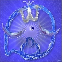 blauwe aap