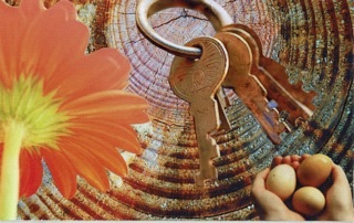 soulcollage elvira van rijn